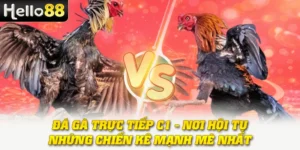 Đá Gà Trực Tiếp C1 - Nơi Hội Tụ Những Chiến Kê Mạnh Mẽ Nhất 6 Đá Gà Trực Tiếp C1 - Nơi Hội Tụ Những Chiến Kê Mạnh Mẽ Nhất