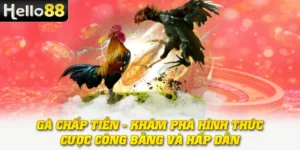 Gà Chấp Tiền - Khám Phá Hình Thức Cược Công Bằng Và Hấp Dẫn 3 Gà Chấp Tiền - Khám Phá Hình Thức Cược Công Bằng Và Hấp Dẫn